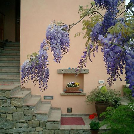 Il Glicine Bed & Breakfast San Dorligo della Valle Luaran gambar