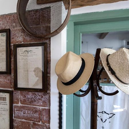 Il Glicine Bed & Breakfast San Dorligo della Valle Luaran gambar