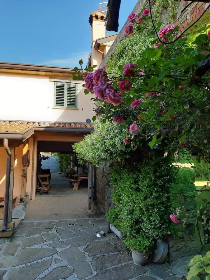 Il Glicine Bed & Breakfast San Dorligo della Valle Luaran gambar