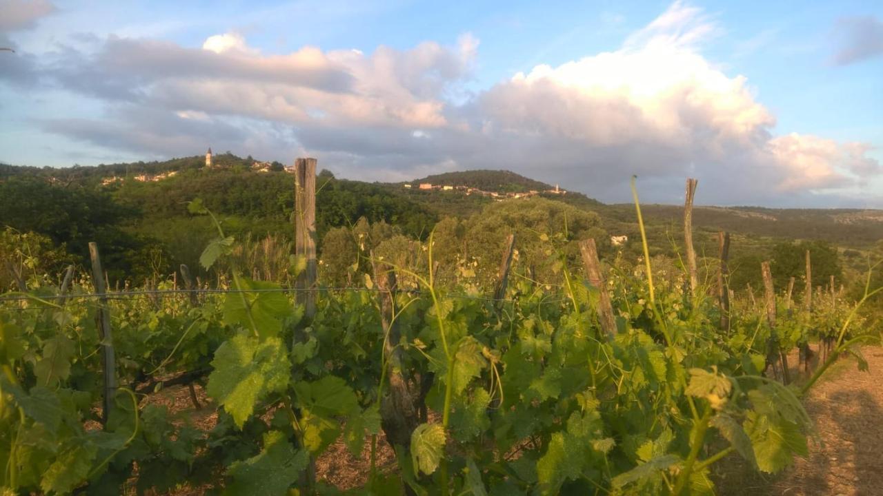 Il Glicine Bed & Breakfast San Dorligo della Valle Luaran gambar