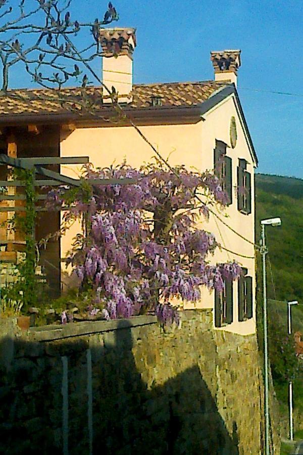 Il Glicine Bed & Breakfast San Dorligo della Valle Luaran gambar