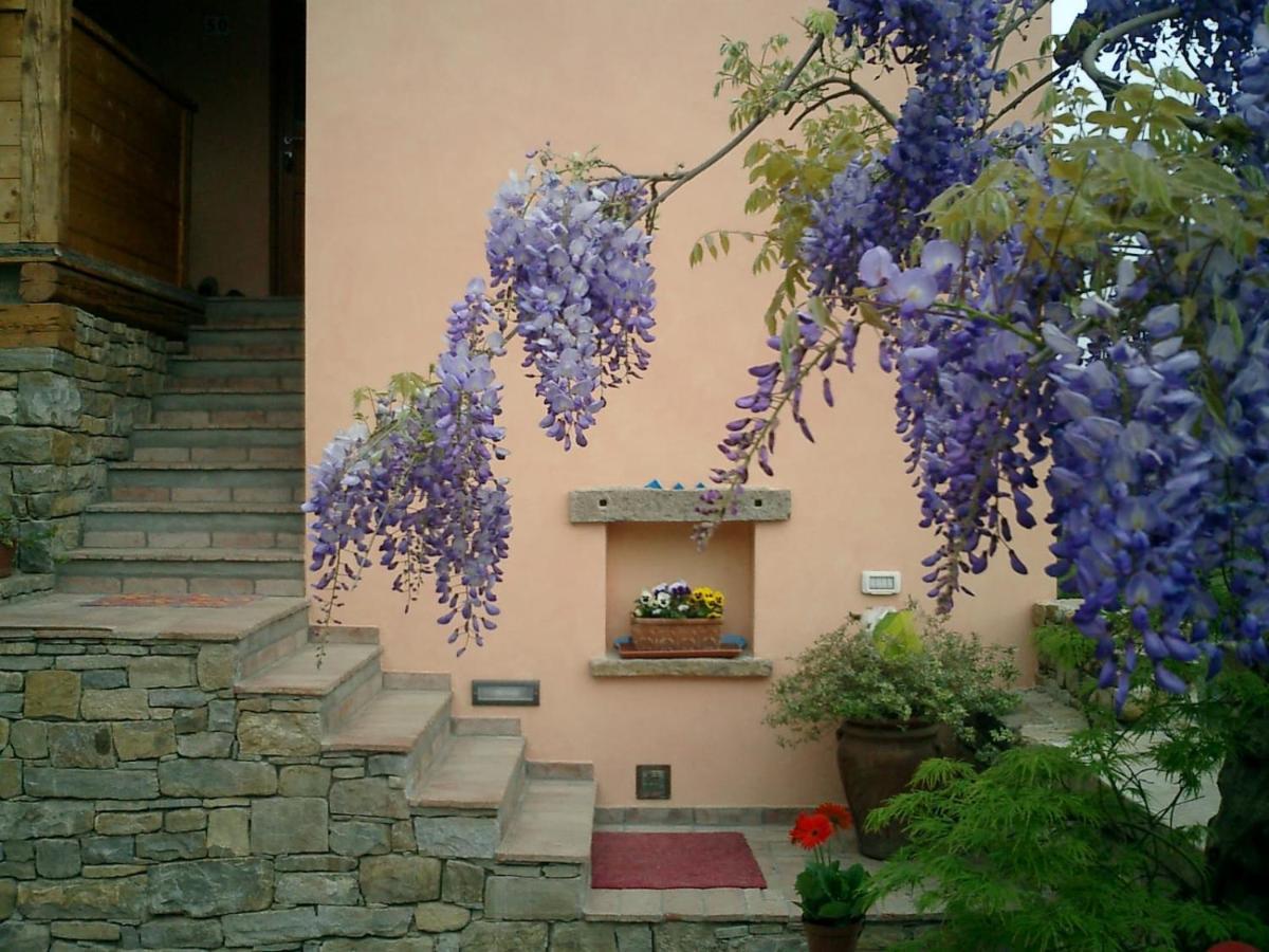 Il Glicine Bed & Breakfast San Dorligo della Valle Luaran gambar
