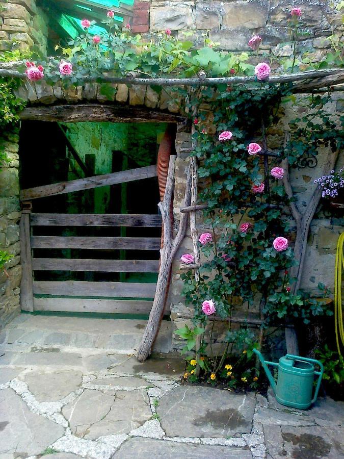 Il Glicine Bed & Breakfast San Dorligo della Valle Luaran gambar