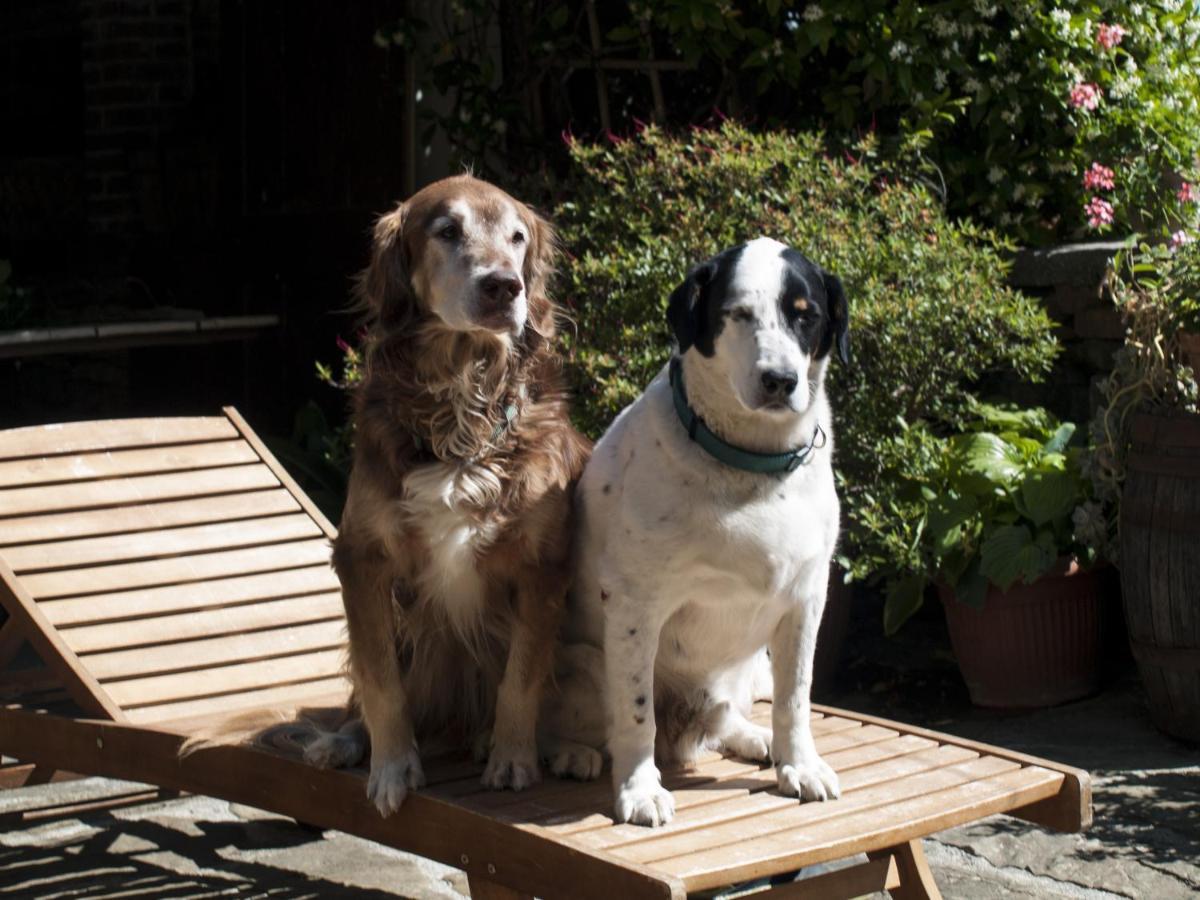 Il Glicine Bed & Breakfast San Dorligo della Valle Luaran gambar