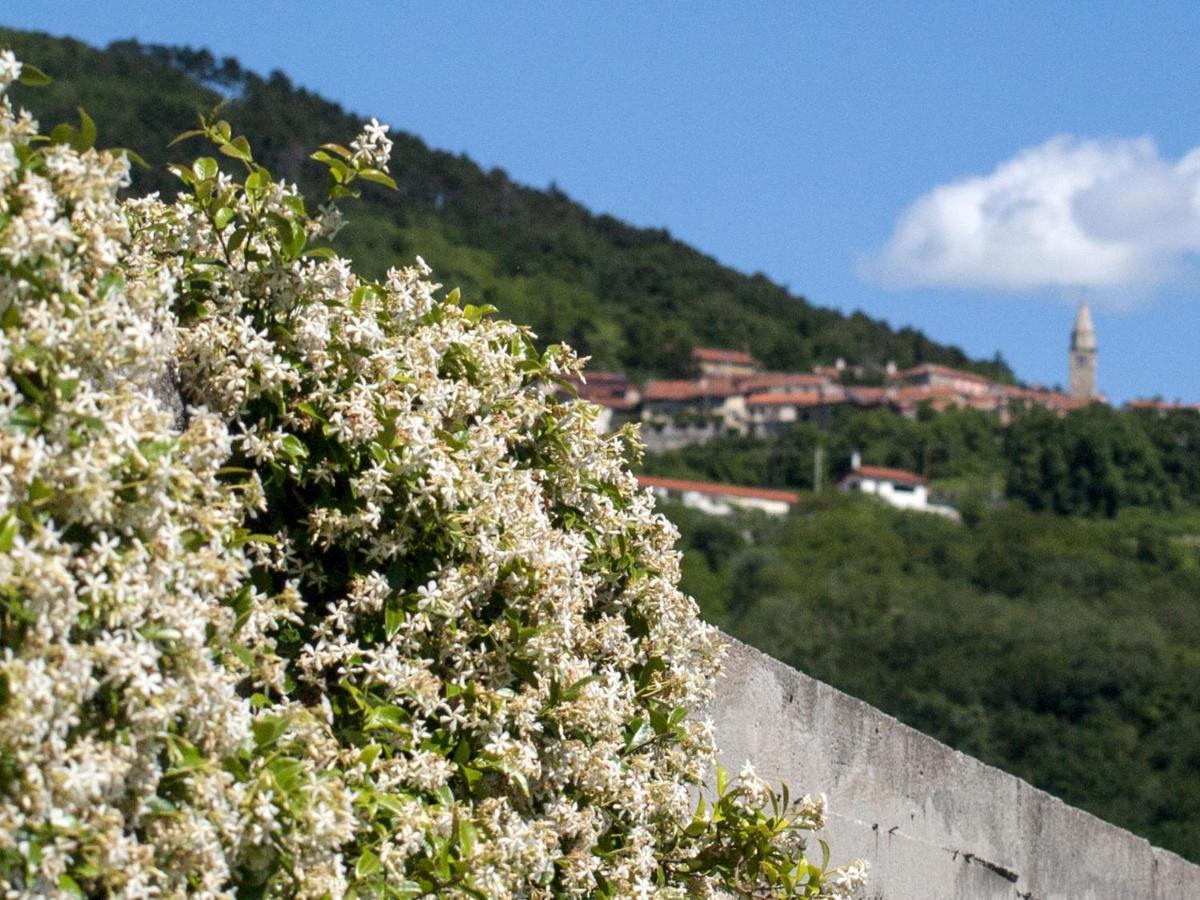 Il Glicine Bed & Breakfast San Dorligo della Valle Luaran gambar
