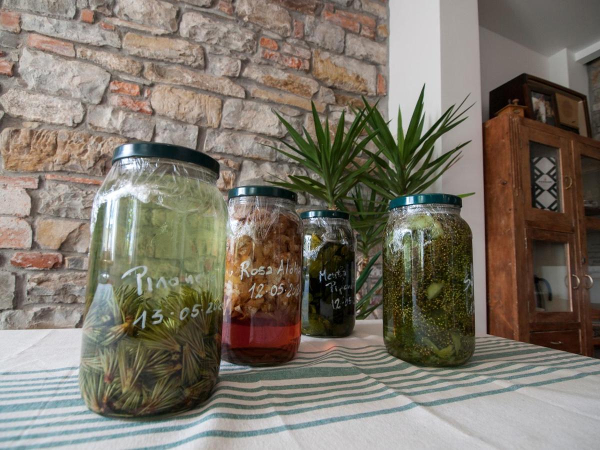 Il Glicine Bed & Breakfast San Dorligo della Valle Luaran gambar