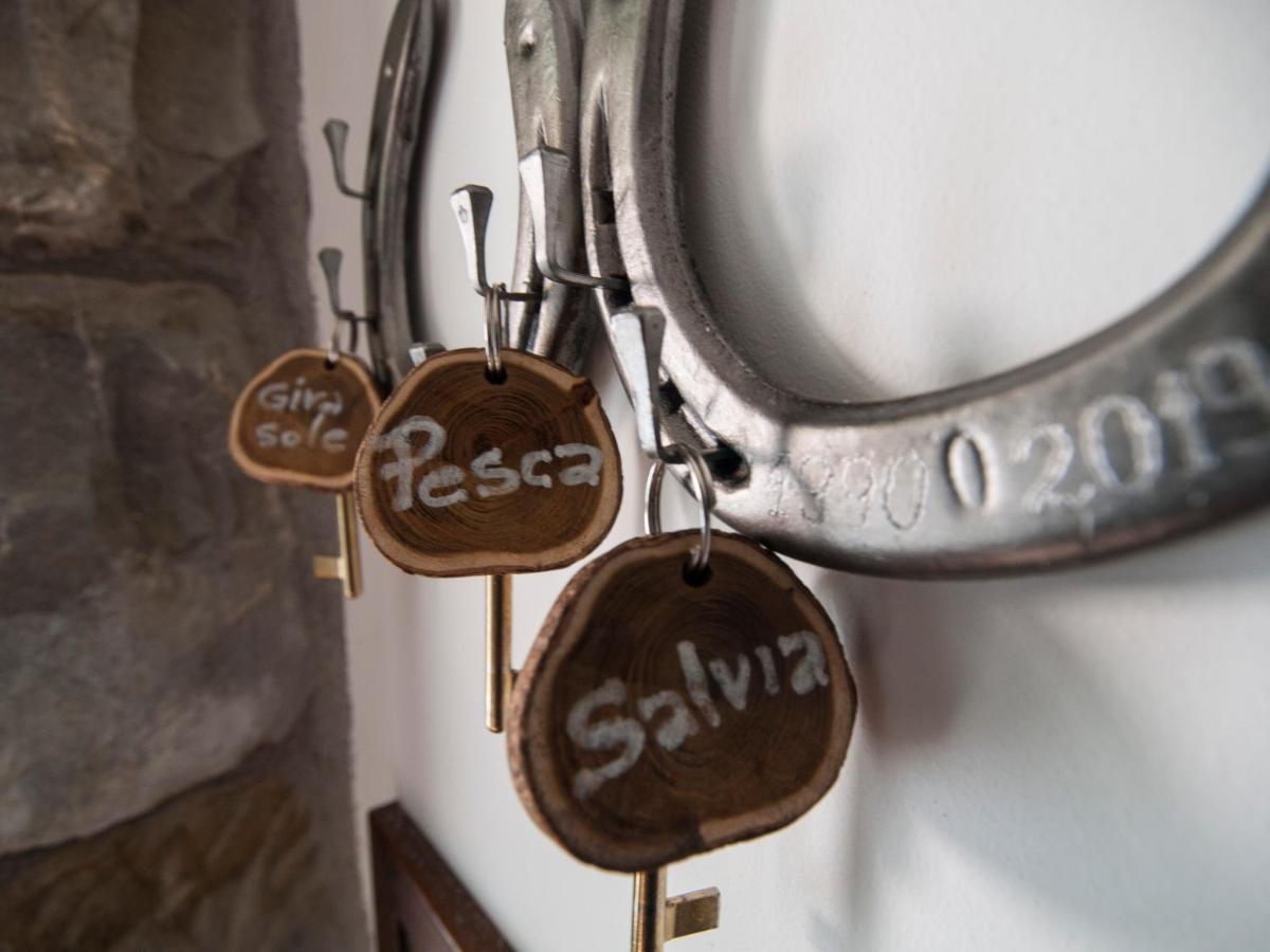 Il Glicine Bed & Breakfast San Dorligo della Valle Luaran gambar