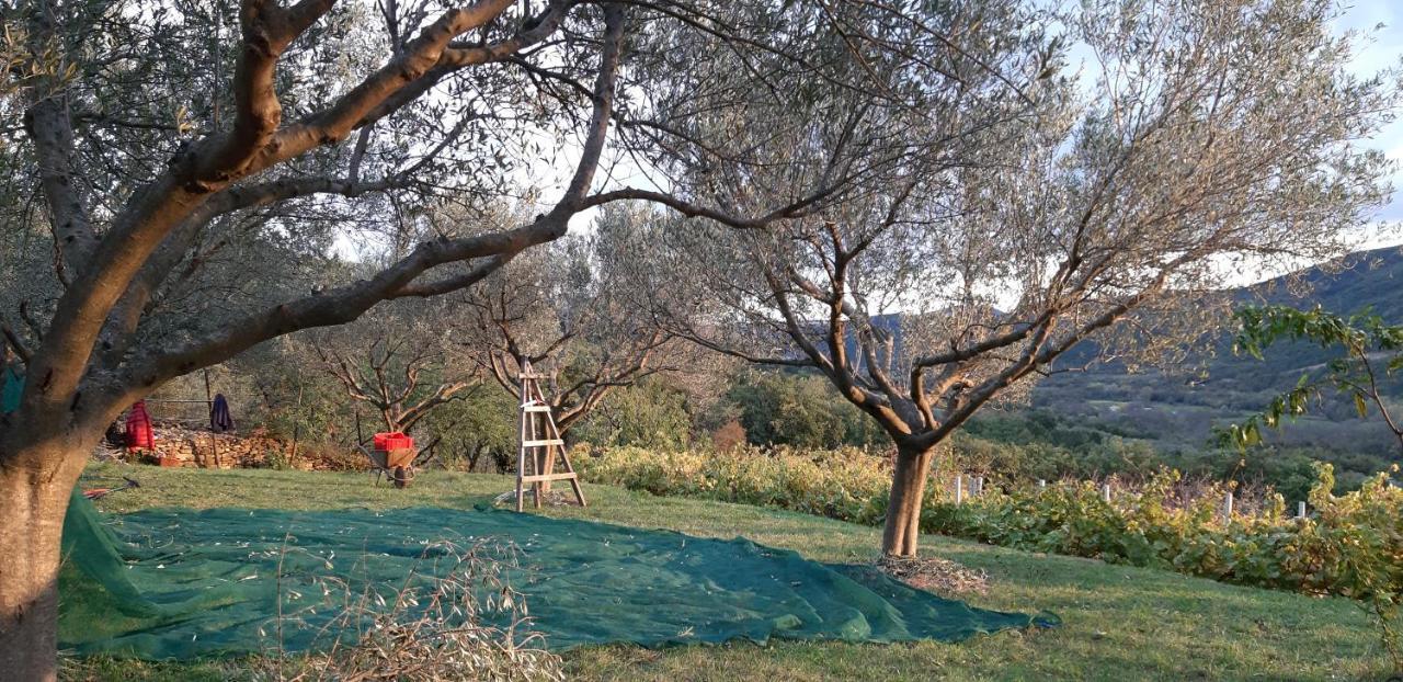 Il Glicine Bed & Breakfast San Dorligo della Valle Luaran gambar